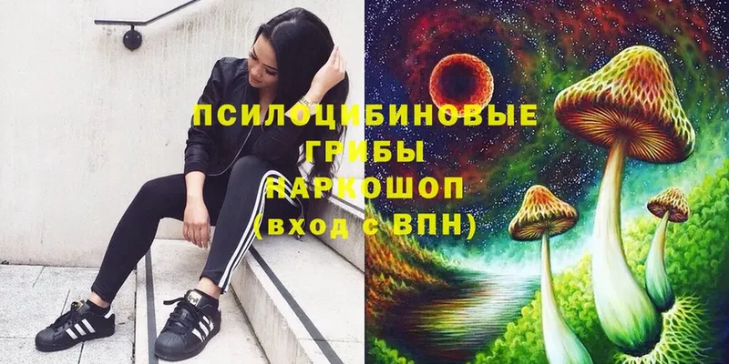 Псилоцибиновые грибы Psilocybine cubensis  мориарти формула  Алатырь 